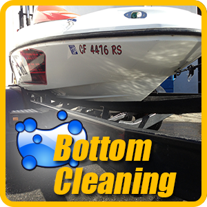 Bottom Cleaning